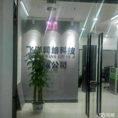 飛洋網絡科技 以技術服務為核心，引領數字化轉型新航程